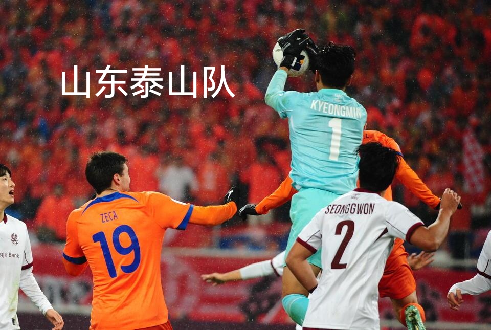 球队精英齐聚，火爆比赛即将展开